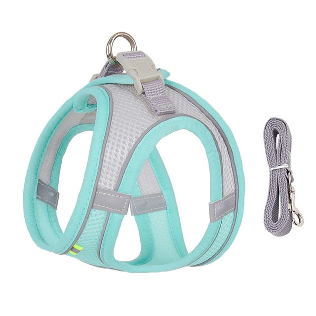 Harness Leash Set for Small Dogs