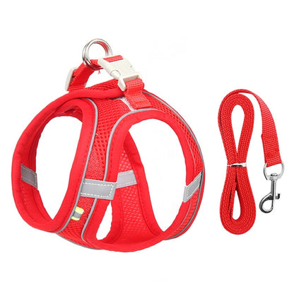 Harness Leash Set for Small Dogs