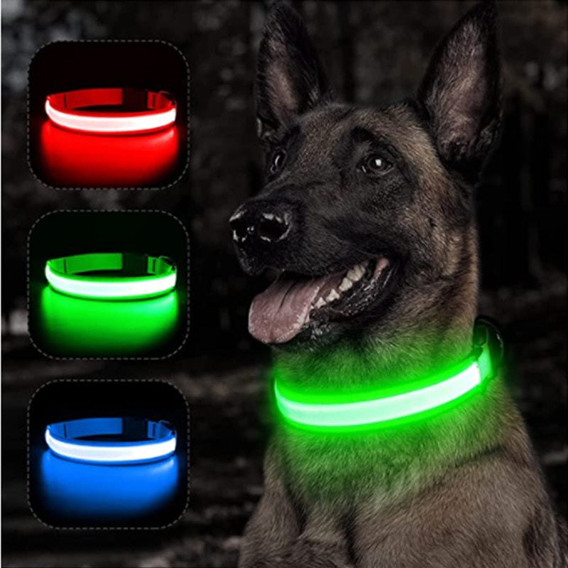 LED Glowing Adjustable Dog Collar