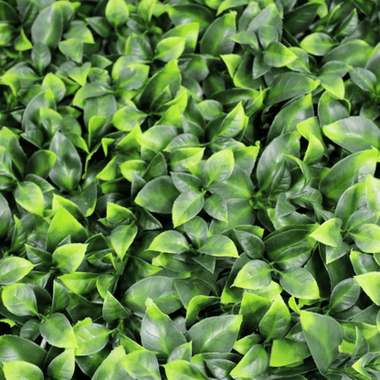 Jasmine Artificial Green Wall 40" x 40" 11SQ FT UV Resistant