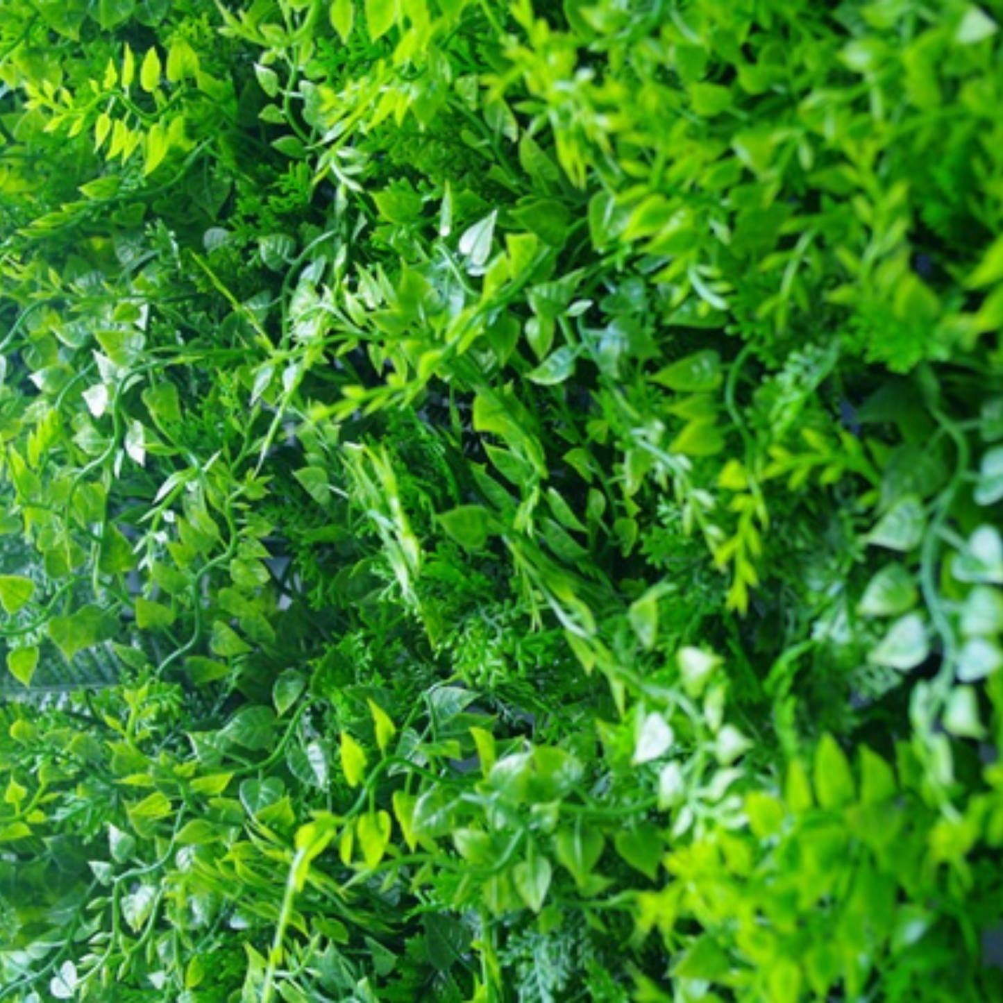 Lush Fern Artificial Green Wall 40" x 40" 11SQ FT UV Resistant