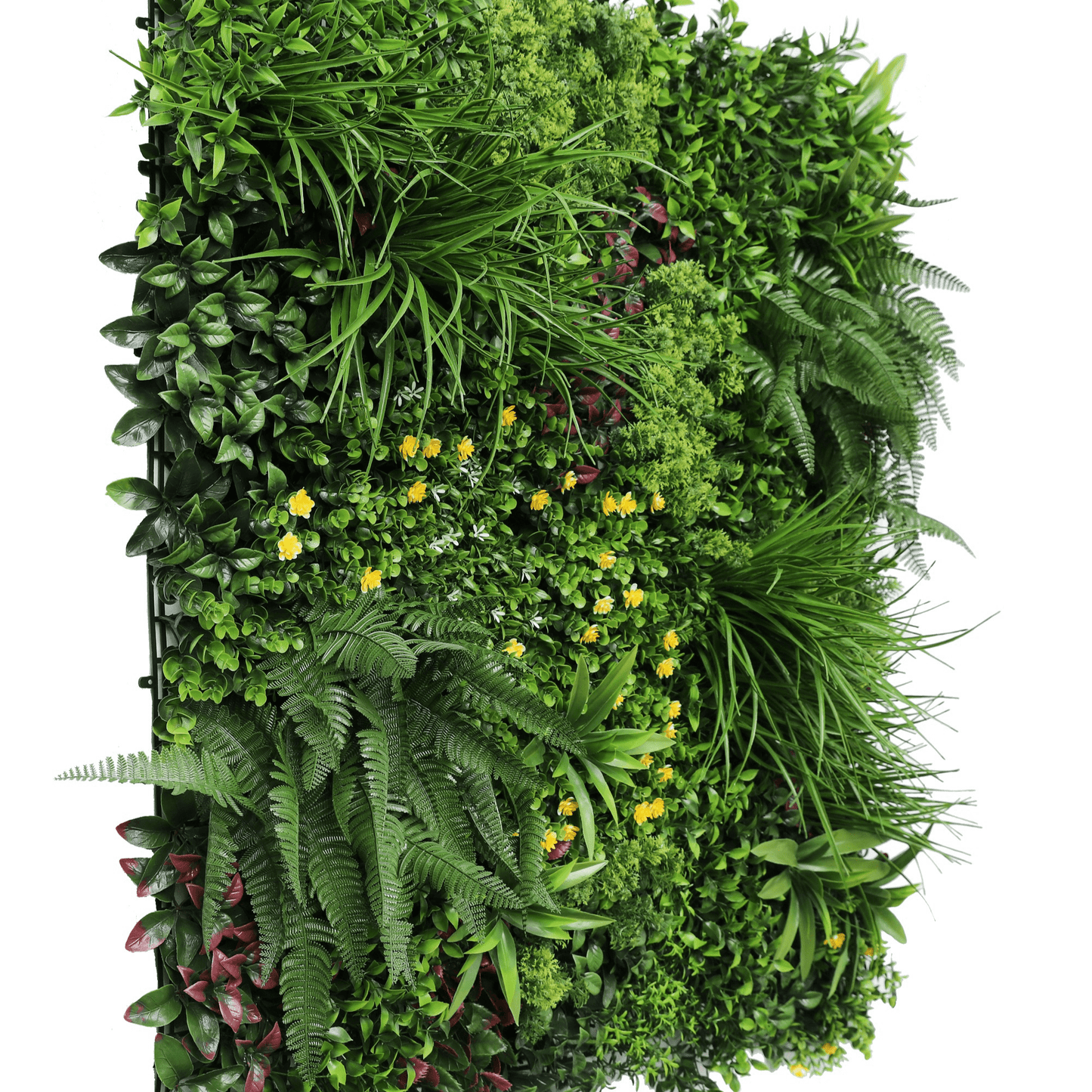 Sample Panel of Country Fern Artificial Vertical Garden (Small Sample) UV Resistant